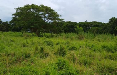 Agricultural Land for Sale