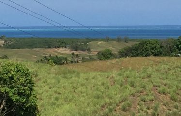 Rural Residential Freehold Large 1-acre lot, and two 3/4 acre lots For Sale At Momi Bay – The Unseen Haven