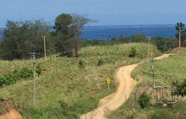 Rural Residential Freehold Large 1-acre lot, and two 3/4 acre lots For Sale At Momi Bay – The Unseen Haven