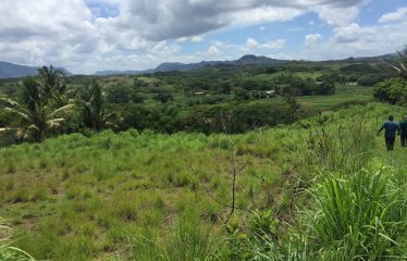 1/2 acre Freehold Commercial Land For Sale in Nasau, Nadi.