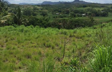 1/2 acre Freehold Commercial Land For Sale in Nasau, Nadi.