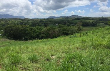 1/2 acre Freehold Commercial Land For Sale in Nasau, Nadi.