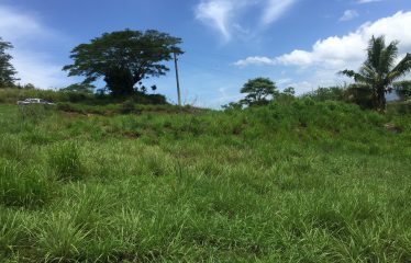 1/2 acre Freehold Commercial Land For Sale in Nasau, Nadi.