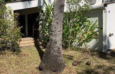 5-Bedrooms Double Storey Executive Property For Sale in Martintar, Nadi, Fiji