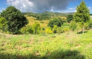 Rural Residential Freehold Large 1-acre lot, and two 3/4 acre lots For Sale At Momi Bay – The Unseen Haven