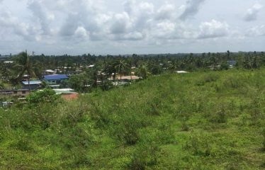 4-Acres Freehold Commercial Land For Sale in Dilkusha Road, Nausori