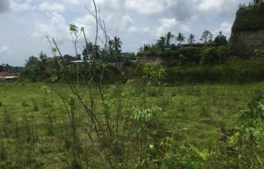 4-Acres Freehold Commercial Land For Sale in Dilkusha Road, Nausori