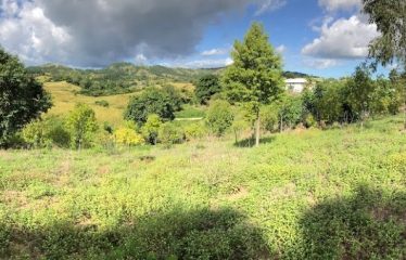 Rural Residential Freehold Large 1-acre lot, and two 3/4 acre lots For Sale At Momi Bay – The Unseen Haven