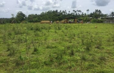 4-Acres Freehold Commercial Land For Sale in Dilkusha Road, Nausori