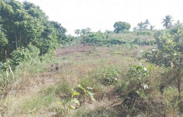 1.25acres of Prime Freehold Land in the Heart of the Suburbs of Suva.