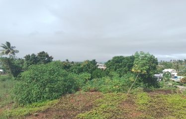 1.25acres of Prime Freehold Land in the Heart of the Suburbs of Suva.