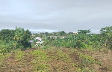 1.25acres of Prime Freehold Land in the Heart of the Suburbs of Suva.