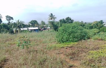 1.25acres of Prime Freehold Land in the Heart of the Suburbs of Suva.