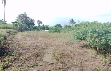 1.25acres of Prime Freehold Land in the Heart of the Suburbs of Suva.