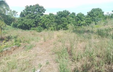 1.25acres of Prime Freehold Land in the Heart of the Suburbs of Suva.