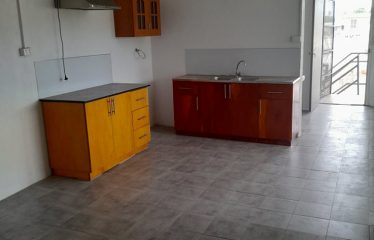 Newly-Built 3-Bedroom Property For Rent in Koronivia