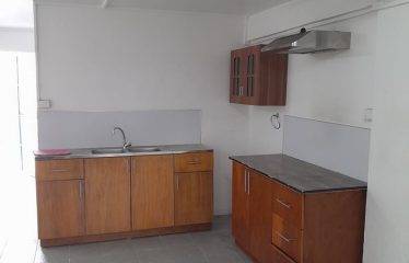 Newly-Built 3-Bedroom Property For Rent in Koronivia