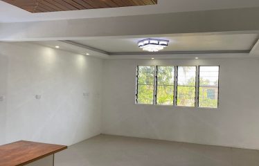 Executive 3-Bedroom Top Flat For Rent, Suva