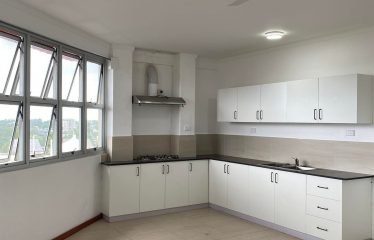 Executive Top Flats For Rent, Suva