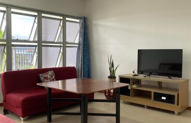 Executive Top Flats For Rent, Suva