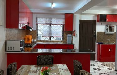 Newly Built And Partially Furnished 2-Bedroom Flat For Rent, Suva