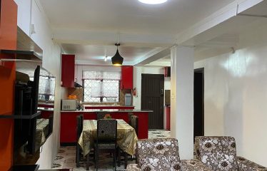 Newly Built And Partially Furnished 2-Bedroom Flat For Rent, Suva