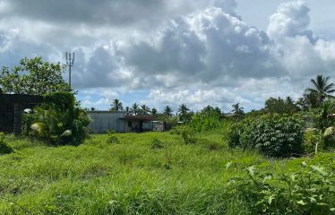 2-Freehold Vacant Lots For Sale, Nausori