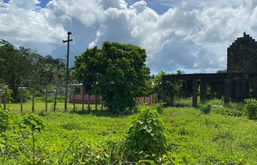 2-Freehold Vacant Lots For Sale, Nausori