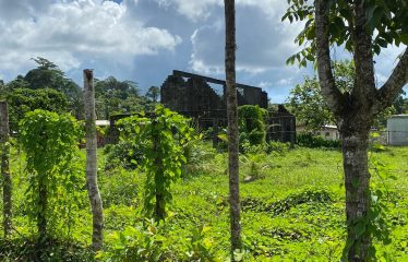 2-Freehold Vacant Lots For Sale, Nausori