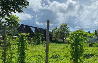 2-Freehold Vacant Lots For Sale, Nausori