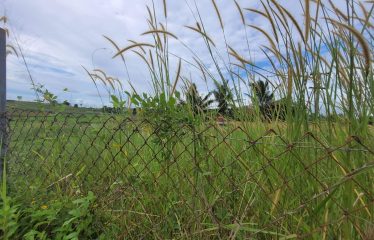 Freehold Vacant Land For Sale