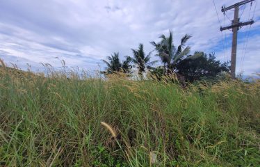 Freehold Vacant Land For Sale