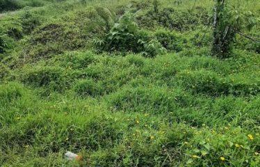 Vacant Freehold Lot For Sale in Suva.