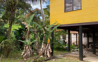 7-Bedroom Property For Sale, Nausori