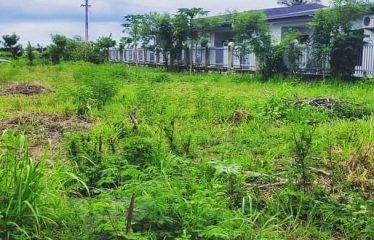 Crown C Lease With 92years of Lease Remaining For Sale, Nadi