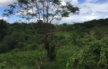 Agriculture Lease For Sale, Nausori, Fiji Islands