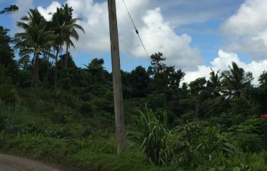 Agriculture Lease For Sale, Nausori, Fiji Islands